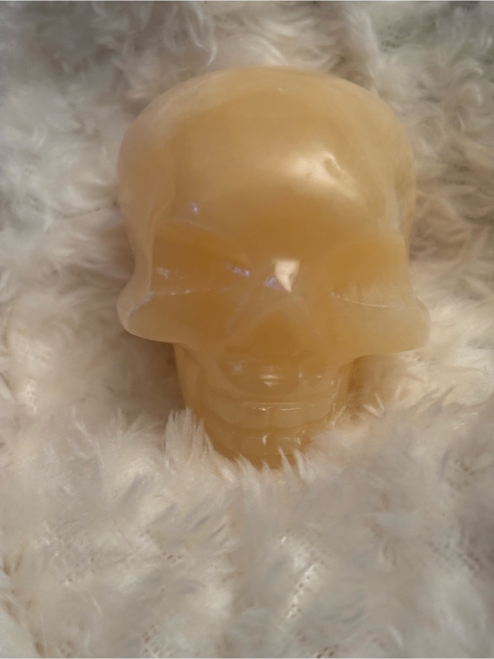 Natural Beeswax Skull Soap - Cream Color